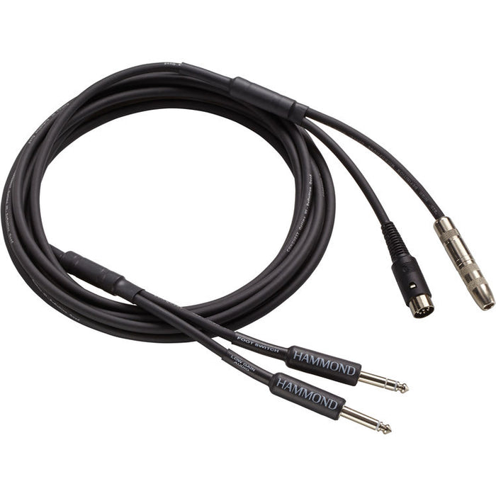 Hammond 8-Pin & 1/4" Female to Dual 1/4" Audio Speed Cable, 15-Foot