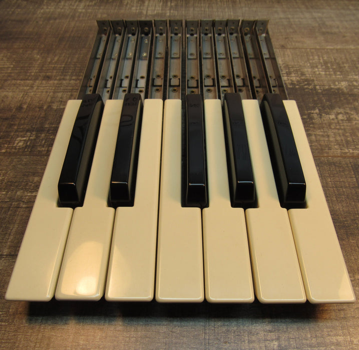 Hammond Organ Replacement Keys, Set of 12 (Diving Board)