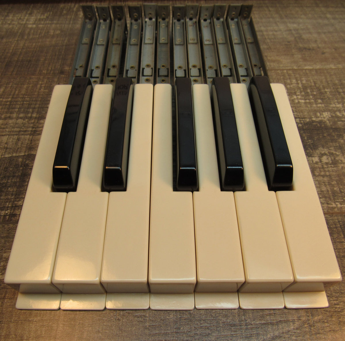 Hammond Organ Replacement Waterfall Keys, Set of 12 – The Chicago Organ ...