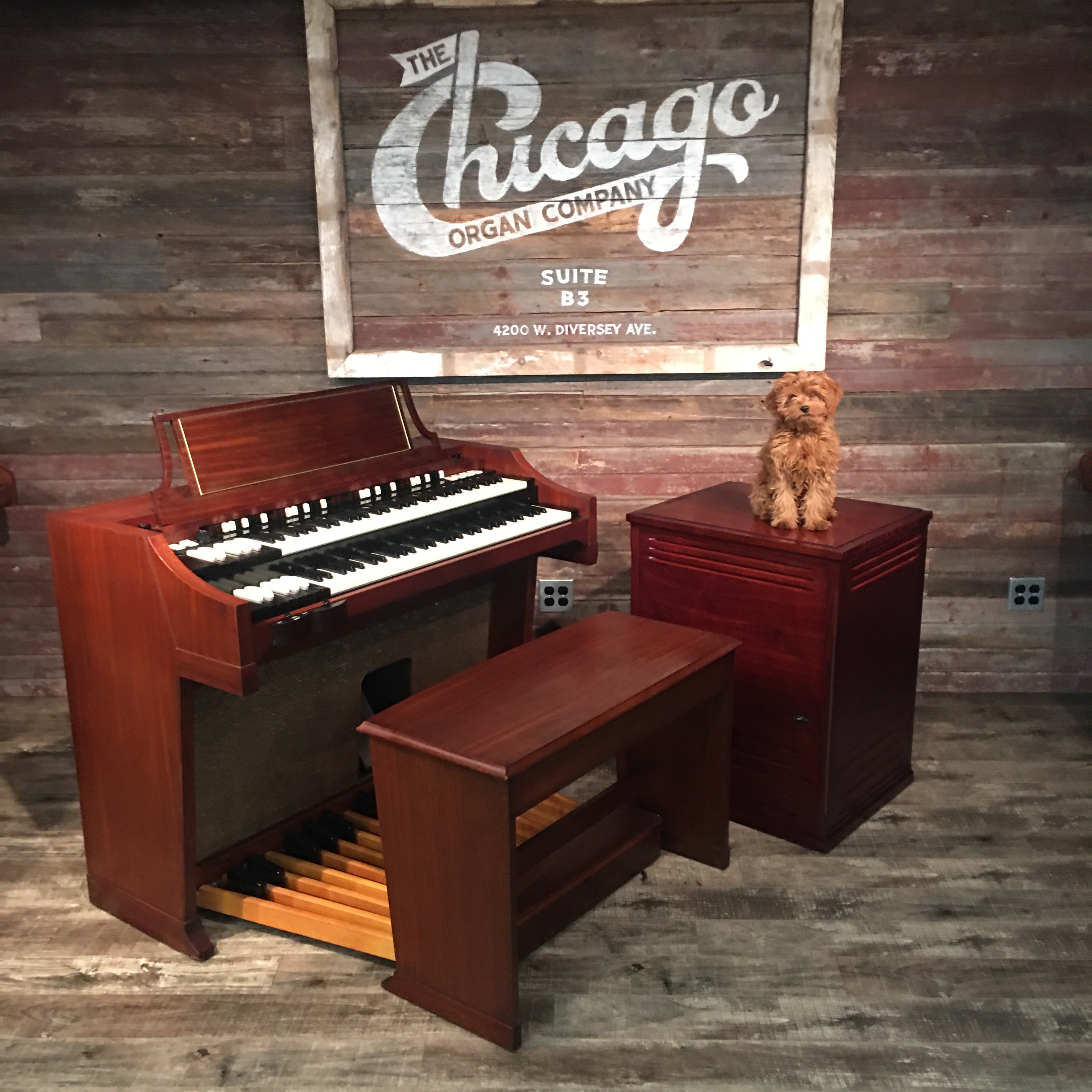 Hammond A-100 Vintage 1964 Organ with Leslie 3300W Rotary Speaker